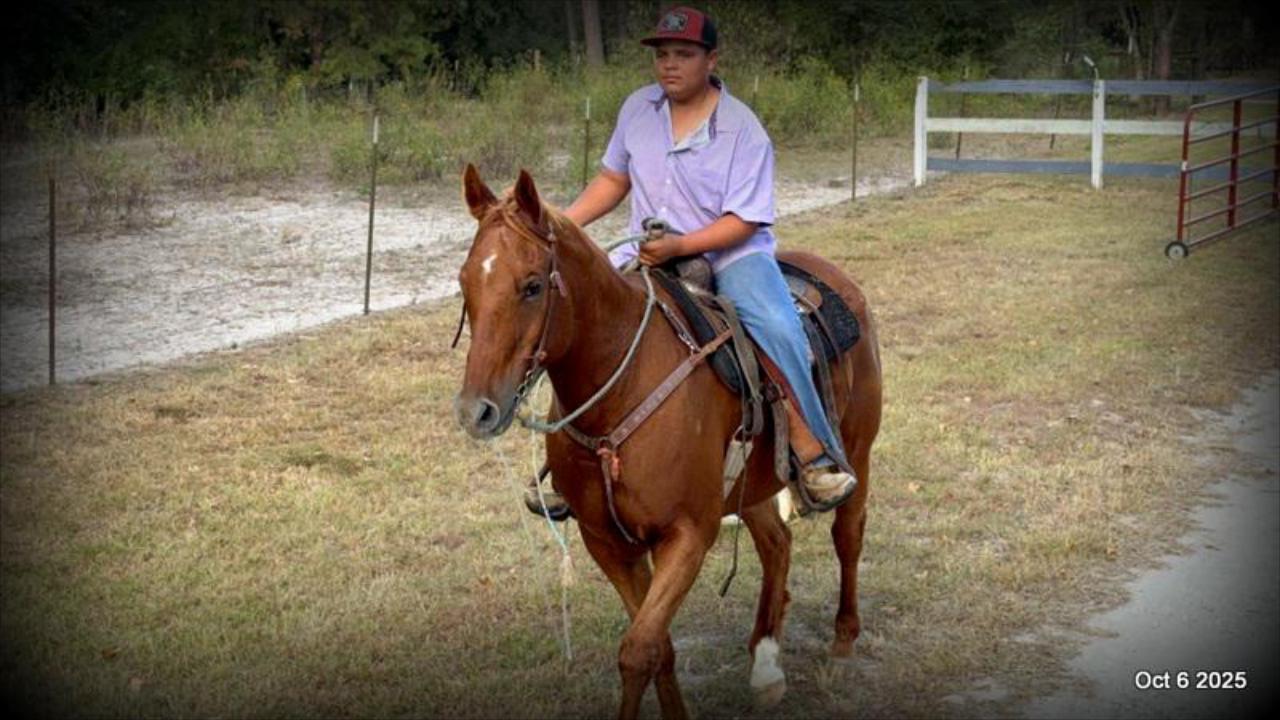 Biggie – Ranch-Tested, Family-Safe, and Ready to Ride!