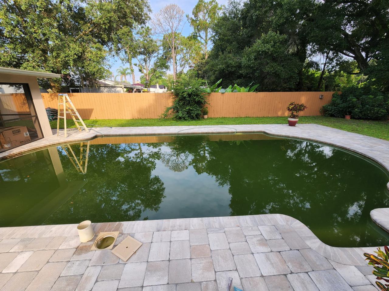 Pool Maintenance