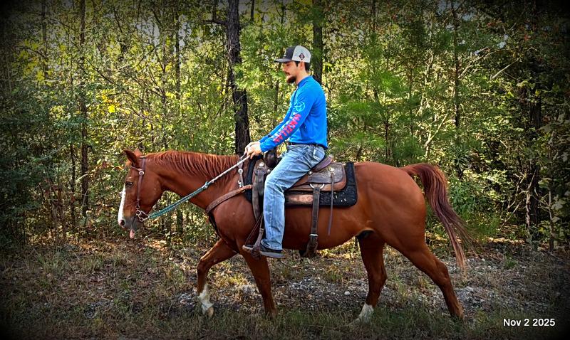 💚Ranger Safe for All Ages💚