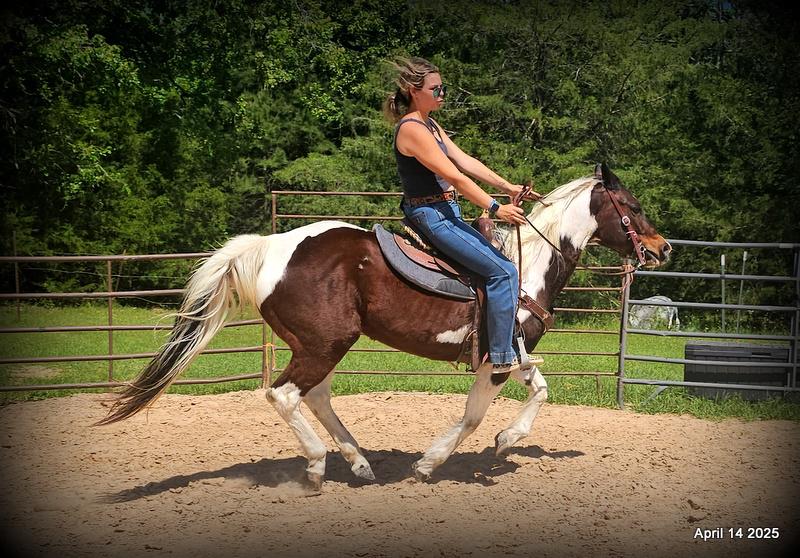 Montana – The Picture-Perfect Partner with All the Right Moves