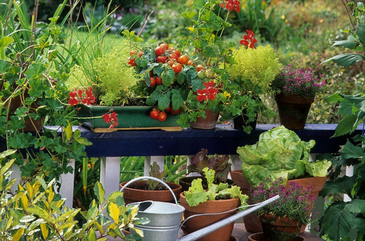 Container Gardening