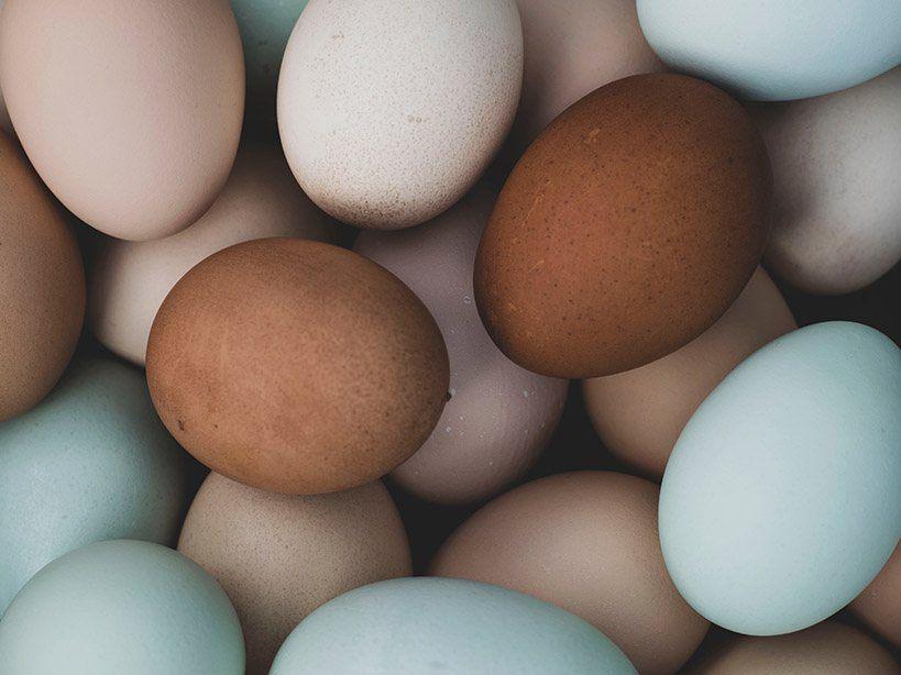 Farm Fresh Free Run Eggs