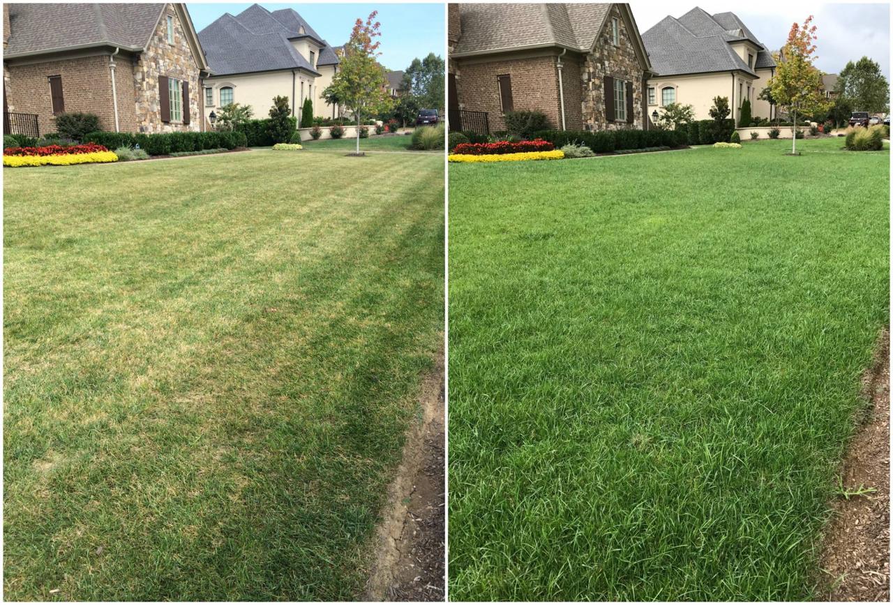 GET YOUR LAWN LOOKING LIKE A GOLF COURSE