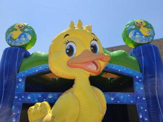 Rubber Ducky Combo