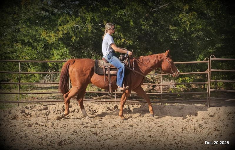 💚Shez Cool and Famous "Cool"💚