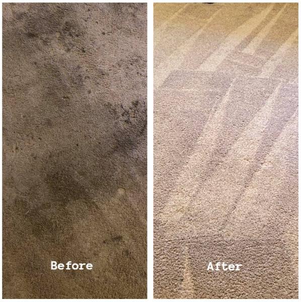 Central Alabama Professional Cleaning Services In Centreville AL Services