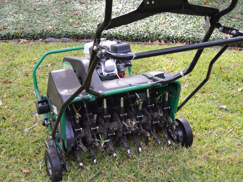 Aeration and Overseeding