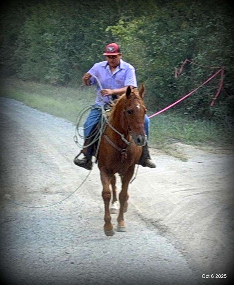 Biggie – Ranch-Tested, Family-Safe, and Ready to Ride!