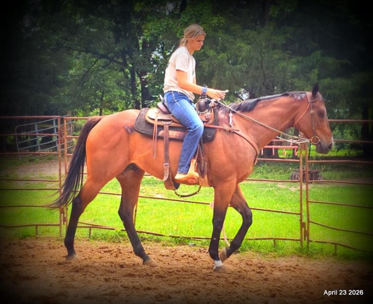 Darylslitlediablo (Diablo)