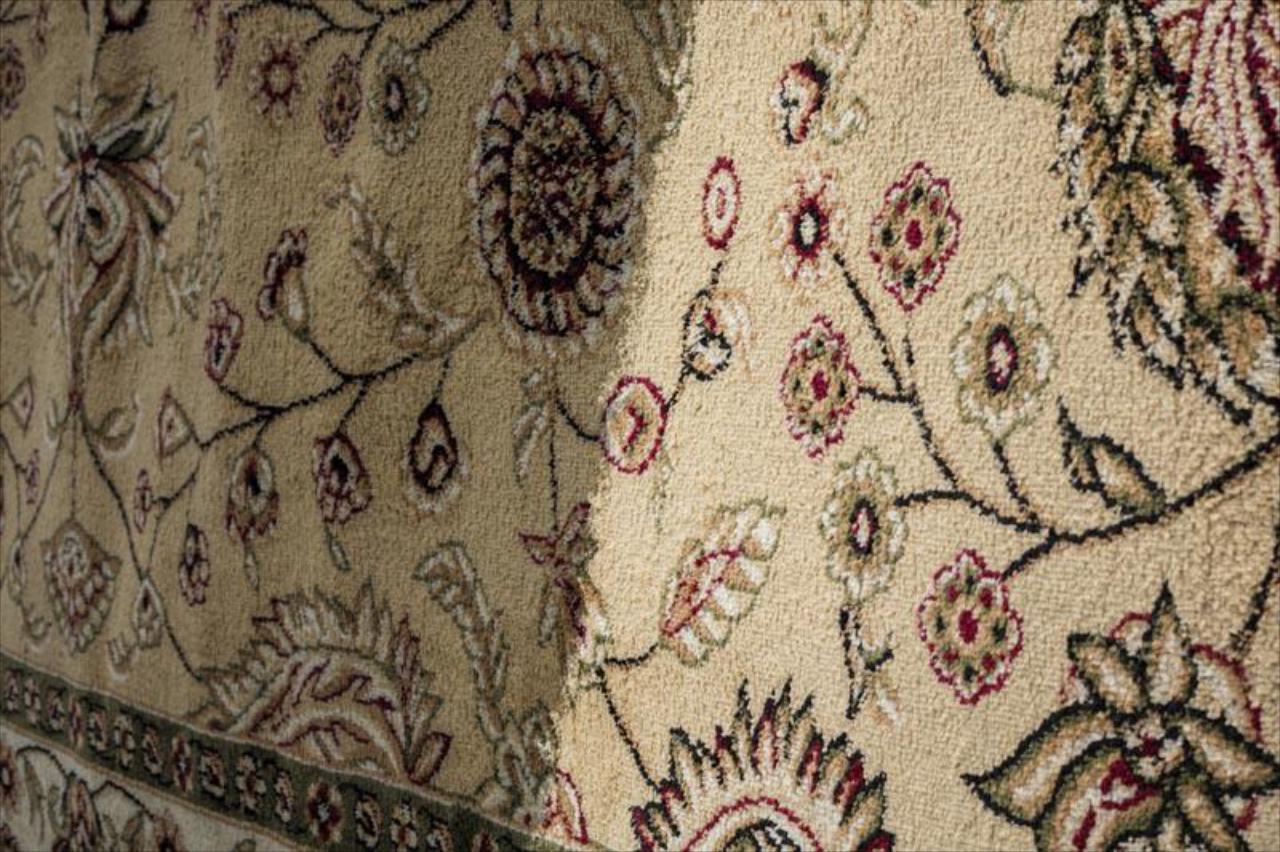 Professional Carpet, Rug & Upholstery Cleaning