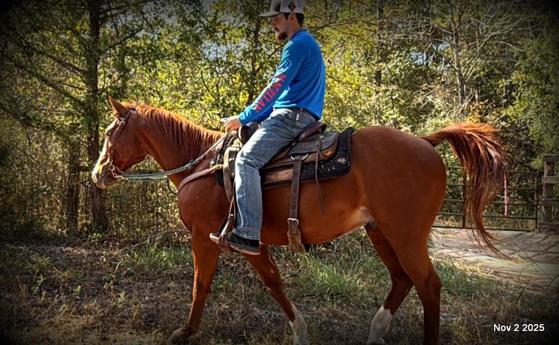 💚Ranger Safe for All Ages💚