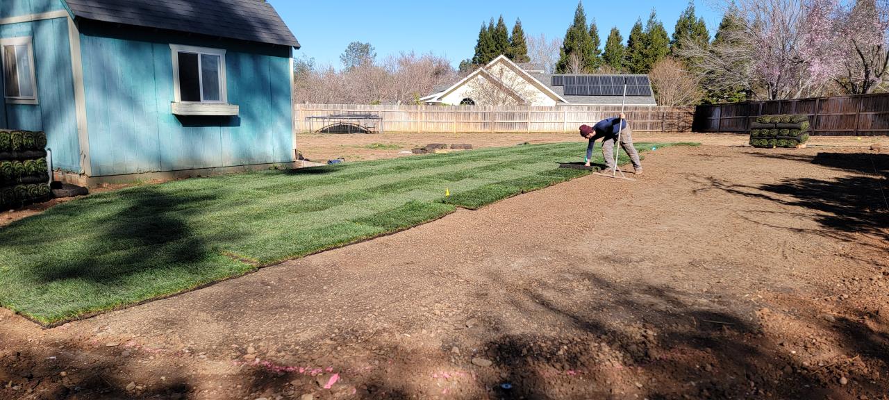 Sod Installation