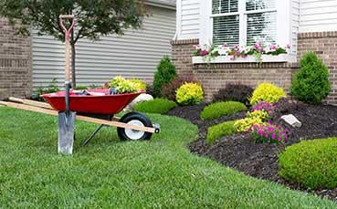 Planting &amp; Mulching