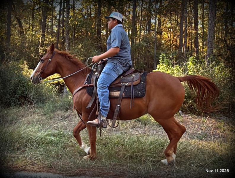 💚Ranger Safe for All Ages💚