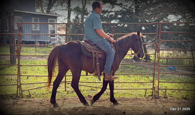 🩷❤️Pixie🩷❤️