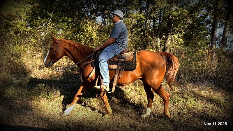 💚Ranger Safe for All Ages💚