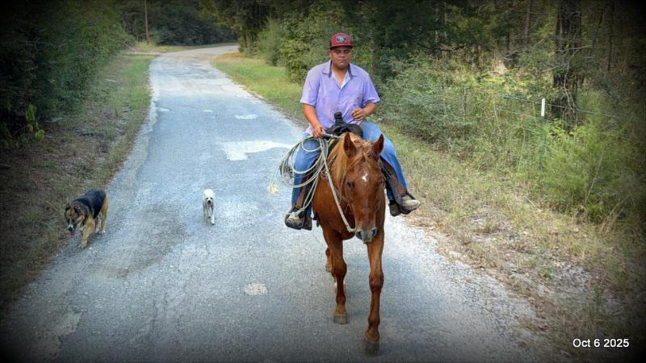 Biggie – Ranch-Tested, Family-Safe, and Ready to Ride!