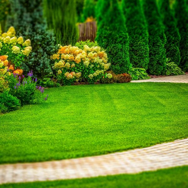 Comprehensive Landscape Construction