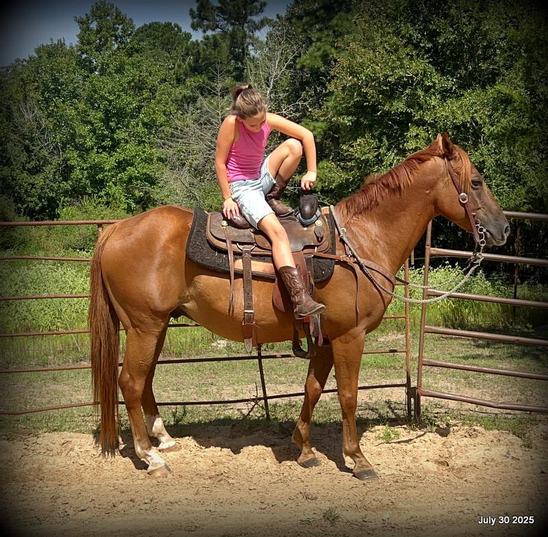 Smart Little Buzz AKA hawk