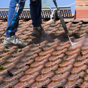 Tile Roof Cleaning