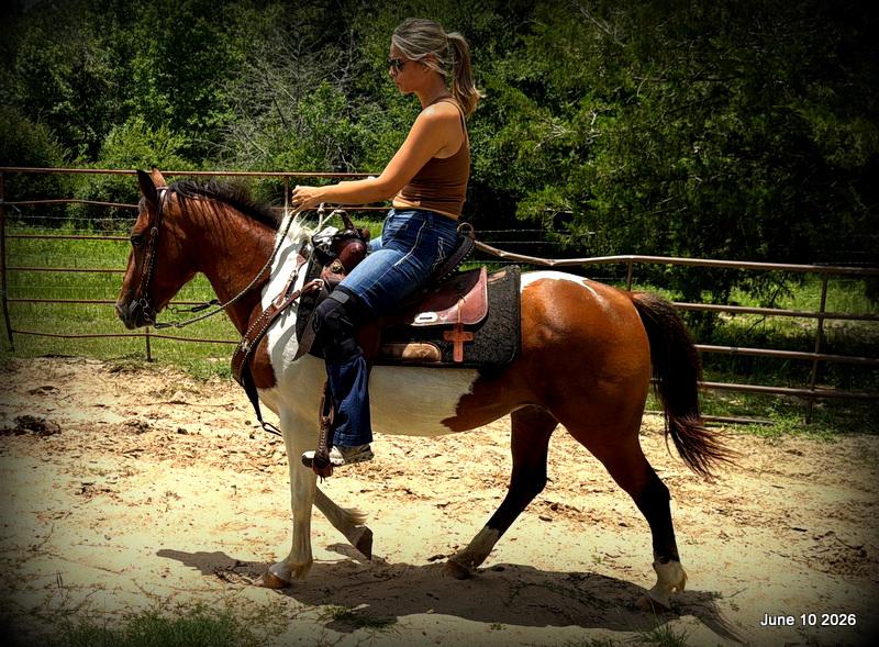 🧡Coca🧡Solid, Sensible Trail Mare 🌟