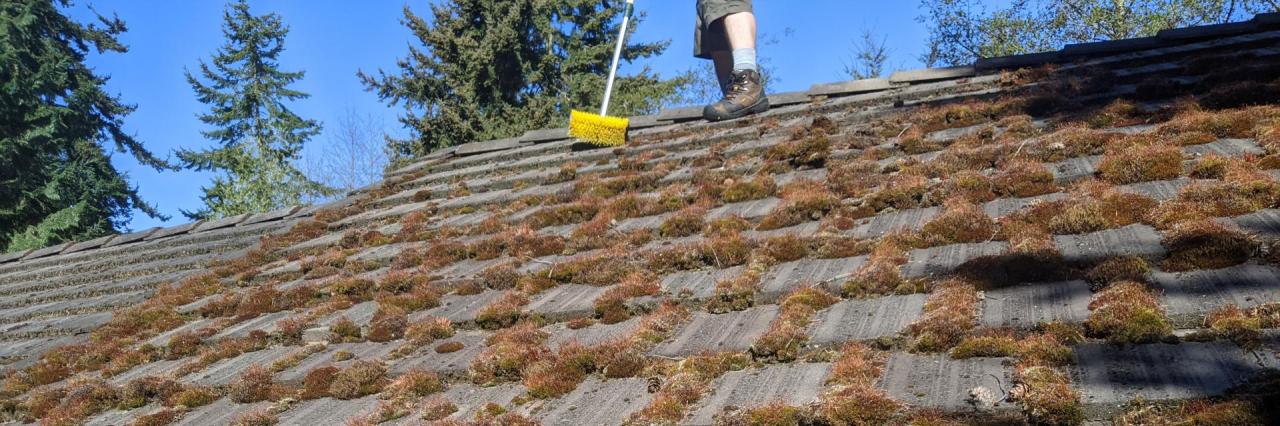 WHY YOU NEED PROFESSIONAL ROOF WASHING?