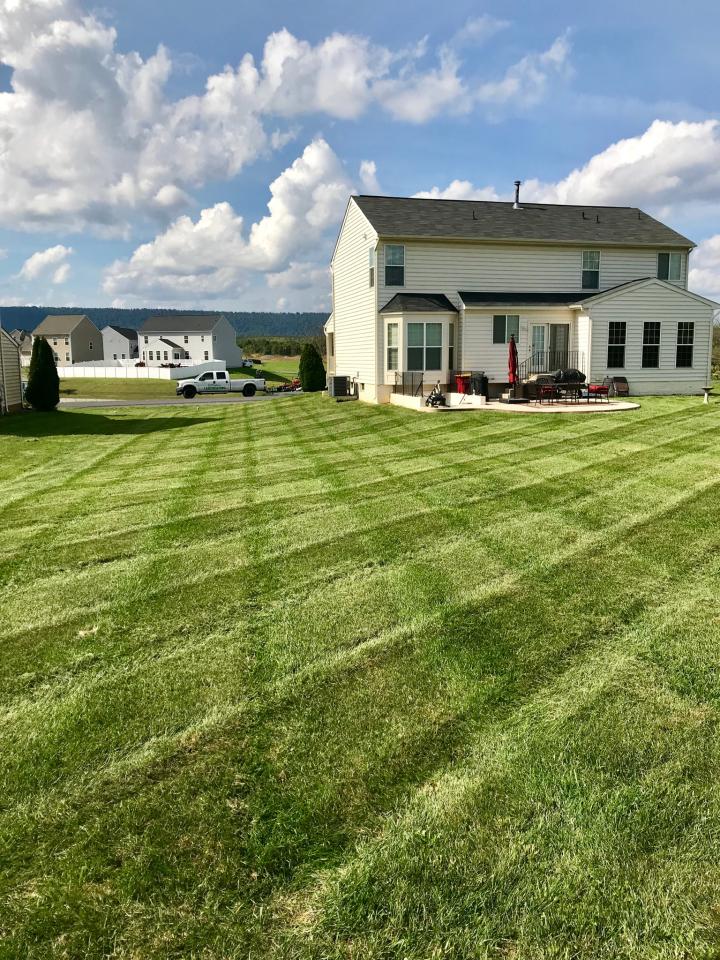 Residential and Commercial Lawn Care & Lawn Mowing Services
