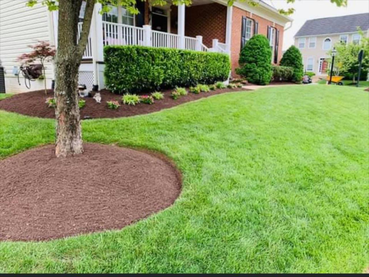 Residential & Commercial Lawn Care Services