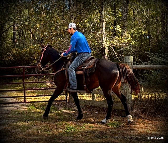 🧡Grace🧡 💔 ✨ The Underdog Who Deserves a Christmas Miracle ✨ 💔