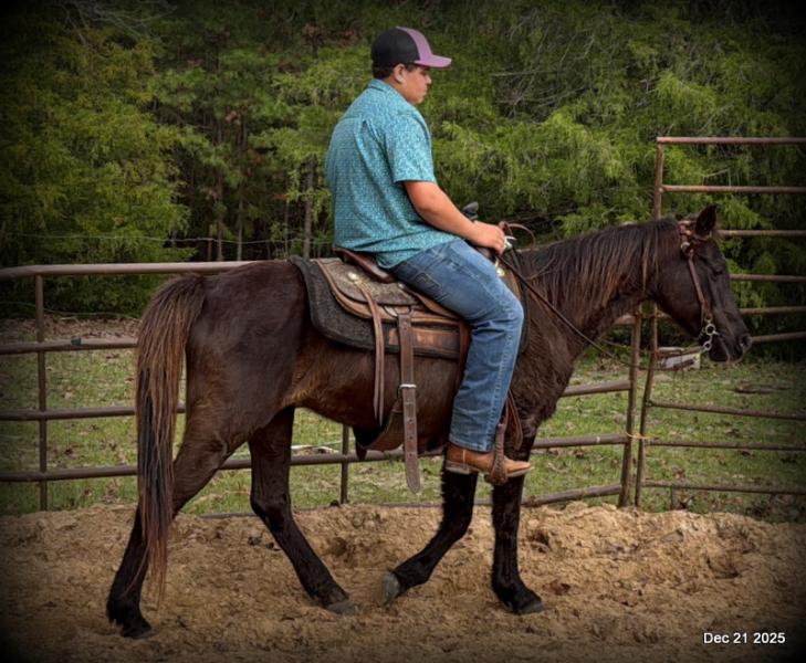 🩷❤️Pixie🩷❤️