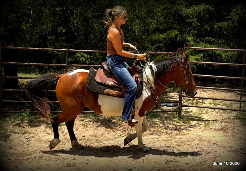 🧡Coca🧡Solid, Sensible Trail Mare 🌟