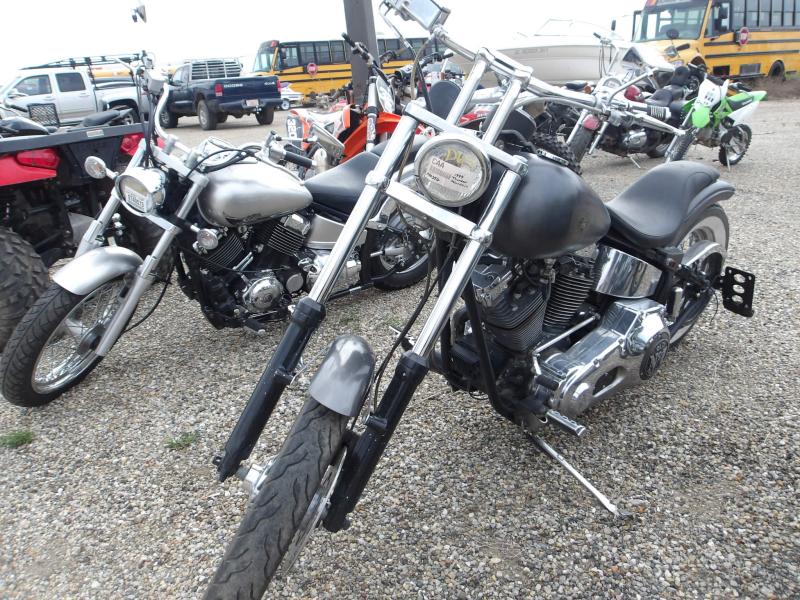 D65- 1999  THUNDER MOUNTAIN CUSTOM