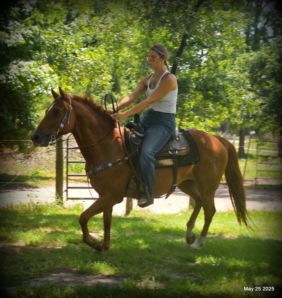 Smart Little Buzz AKA hawk