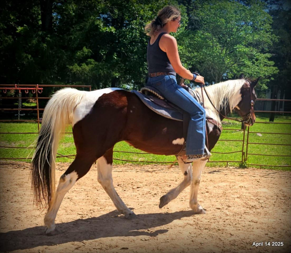 Montana – The Picture-Perfect Partner with All the Right Moves