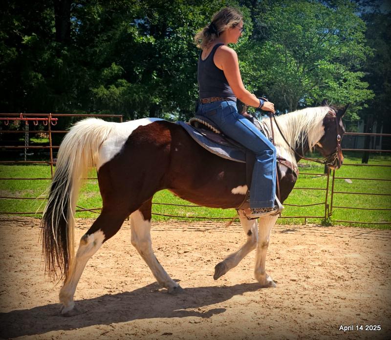 Montana – The Picture-Perfect Partner with All the Right Moves