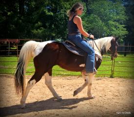 Montana – The Picture-Perfect Partner with All the Right Moves
