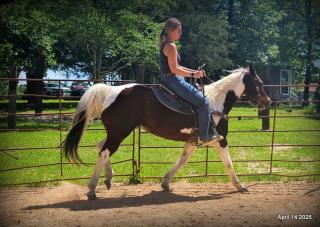 Montana – The Picture-Perfect Partner with All the Right Moves