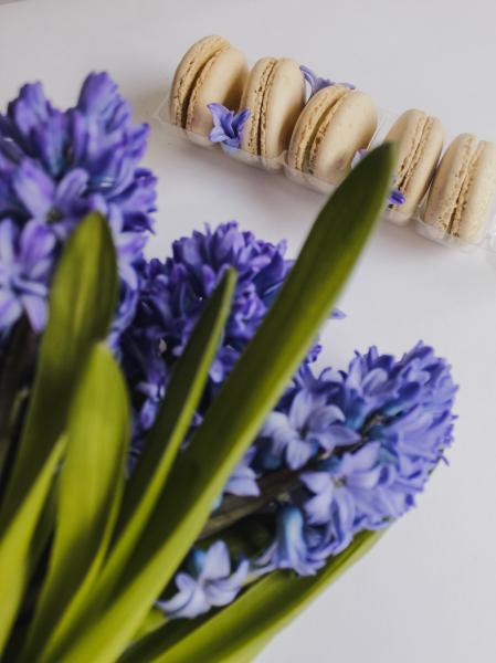 Lavender Macaroons