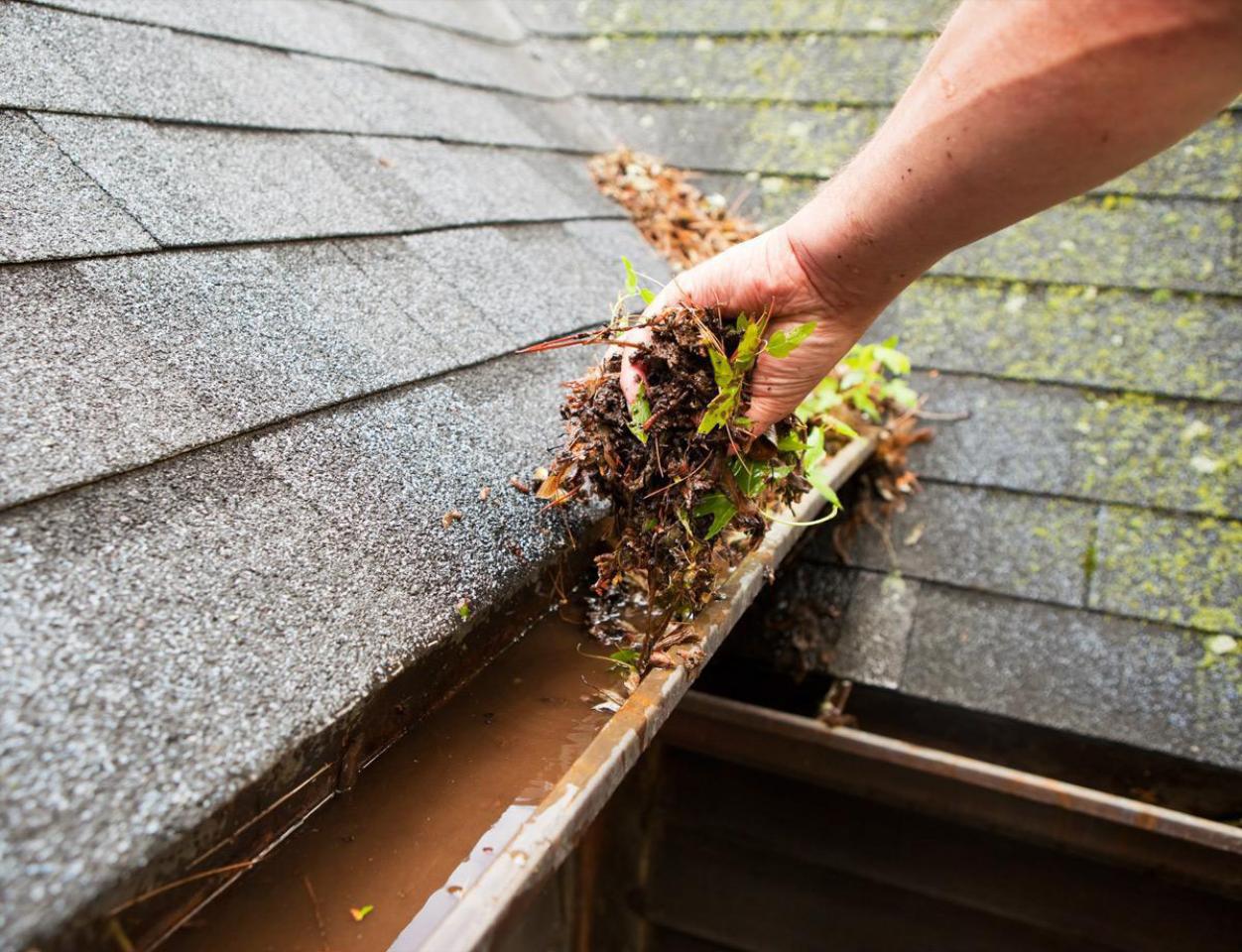 Gutter Cleaning & Brightening