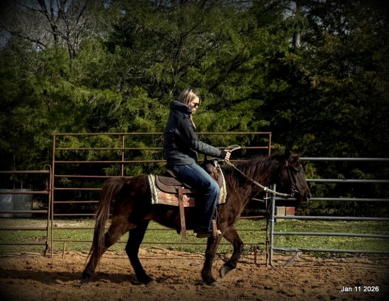 🩷❤️Pixie🩷❤️