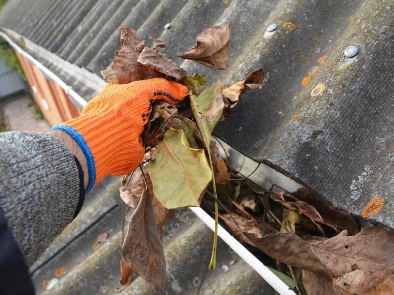 Gutter Cleaning