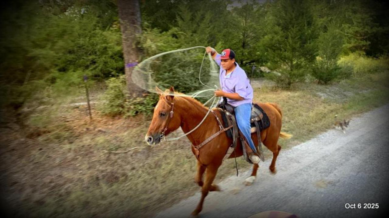 Biggie – Ranch-Tested, Family-Safe, and Ready to Ride!