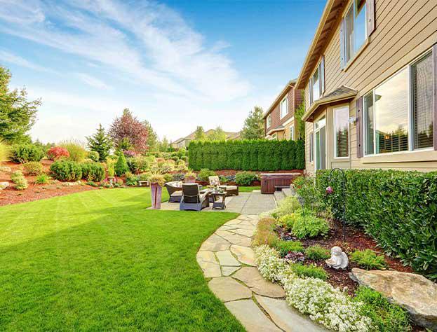 Our Services Include: