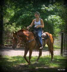 Smart Little Buzz AKA hawk