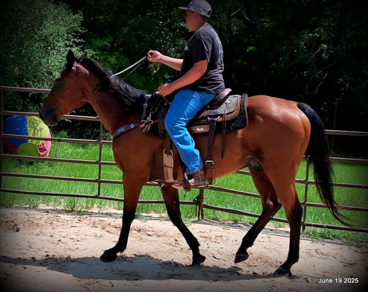 Sammy – A Comeback Story with a Heart of Gold