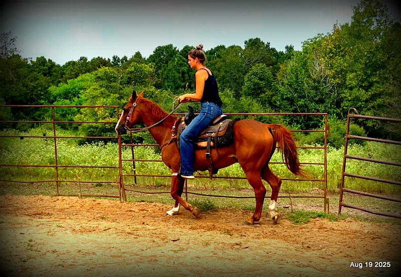 💚Ranger Safe for All Ages💚