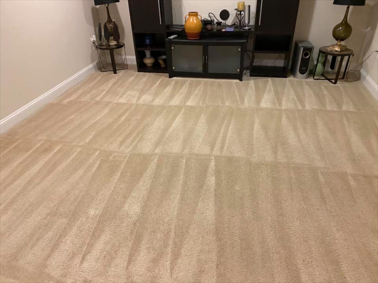 Carpet Cleaning