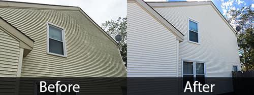 Soft Wash House & Roof Washing