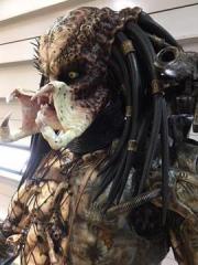 Life Size Predator Full Size