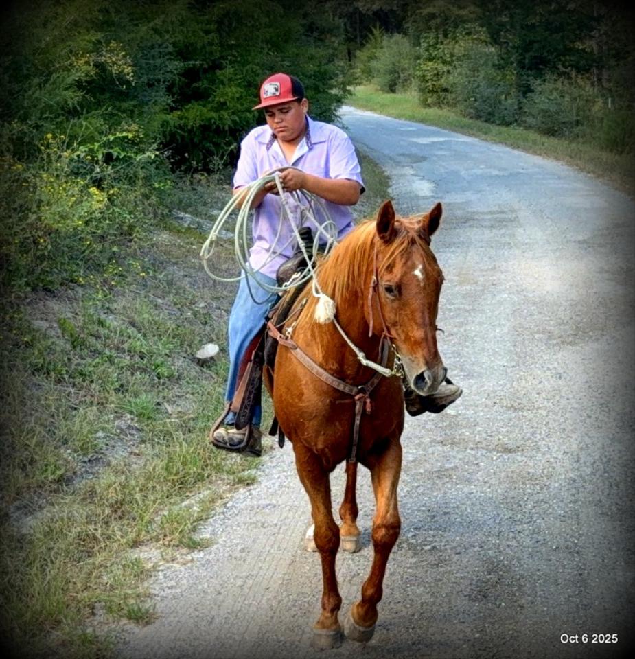 Biggie – Ranch-Tested, Family-Safe, and Ready to Ride!